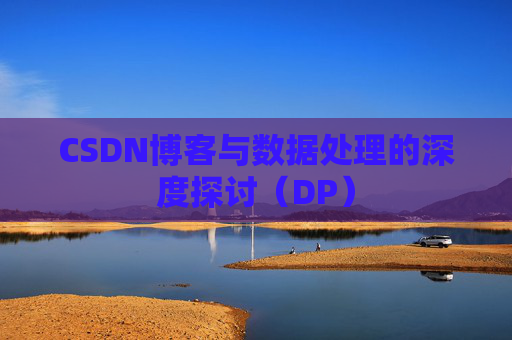 CSDN博客与数据处理的深度探讨（DP）